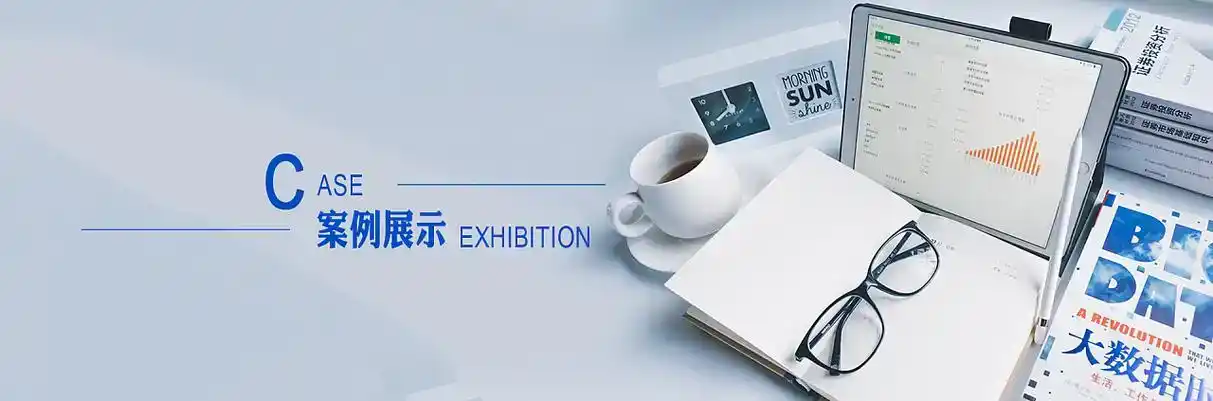 启东市软件开发
